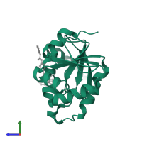 Papain-like protease nsp3 in PDB entry 5spb, assembly 1, side view.