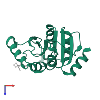 Papain-like protease nsp3 in PDB entry 5spo, assembly 2, top view.