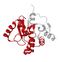 The deposited structure of PDB entry 5spp contains 2 copies of Pfam domain PF01661 (Macro domain) in Papain-like protease nsp3. Showing 1 copy in chain B.