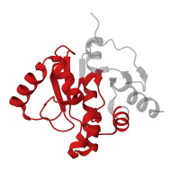 The deposited structure of PDB entry 5spt contains 2 copies of Pfam domain PF01661 (Macro domain) in Papain-like protease nsp3. Showing 1 copy in chain B.