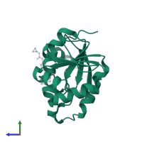 Papain-like protease nsp3 in PDB entry 5sqh, assembly 1, side view.