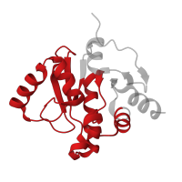 The deposited structure of PDB entry 5sro contains 2 copies of Pfam domain PF01661 (Macro domain) in Papain-like protease nsp3. Showing 1 copy in chain B.