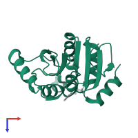 Papain-like protease nsp3 in PDB entry 5srp, assembly 1, top view.