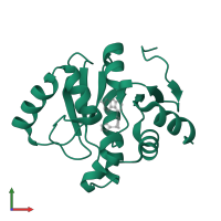 Papain-like protease nsp3 in PDB entry 5srt, assembly 1, front view.
