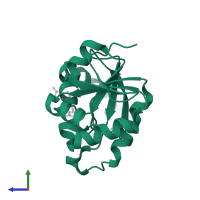 Papain-like protease nsp3 in PDB entry 5ss2, assembly 1, side view.
