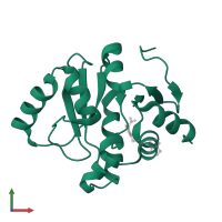 Papain-like protease nsp3 in PDB entry 5ss4, assembly 1, front view.