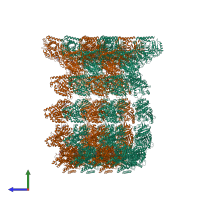 Hetero 52-meric assembly 1 of PDB entry 5syf coloured by chemically distinct molecules, side view.