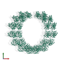 Tubulin alpha-1B chain in PDB entry 5syf, assembly 1, front view.