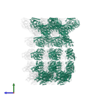 Tubulin alpha-1B chain in PDB entry 5syf, assembly 1, side view.