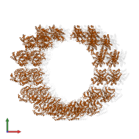 Tubulin beta chain in PDB entry 5syf, assembly 1, front view.