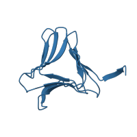 The deposited structure of PDB entry 5t20 contains 8 copies of CATH domain 2.90.10.10 (Agglutinin, subunit A) in Mannose-specific lectin 1 chain 1. Showing 1 copy in chain B.
