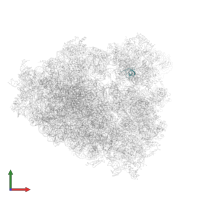 Small ribosomal subunit protein eS28 in PDB entry 5t2c, assembly 1, front view.