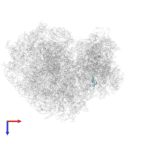 Small ribosomal subunit protein eS28 in PDB entry 5t2c, assembly 1, top view.