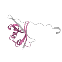The deposited structure of PDB entry 5t35 contains 2 copies of Pfam domain PF00240 (Ubiquitin family) in Elongin-B. Showing 1 copy in chain B.