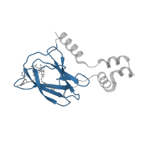 The deposited structure of PDB entry 5t35 contains 2 copies of CATH domain 2.60.40.780 (Immunoglobulin-like) in von Hippel-Lindau disease tumor suppressor. Showing 1 copy in chain D.