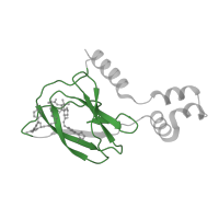 The deposited structure of PDB entry 5t35 contains 2 copies of Pfam domain PF01847 (VHL beta domain) in von Hippel-Lindau disease tumor suppressor. Showing 1 copy in chain D.