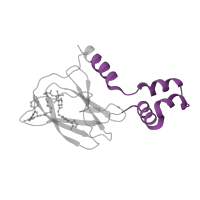 The deposited structure of PDB entry 5t35 contains 2 copies of Pfam domain PF17211 (VHL box domain) in von Hippel-Lindau disease tumor suppressor. Showing 1 copy in chain D.