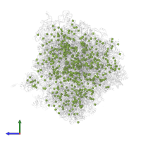 osmium (III) hexammine in PDB entry 5tbw, assembly 2, side view.