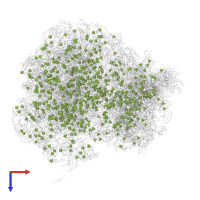 osmium (III) hexammine in PDB entry 5tbw, assembly 2, top view.