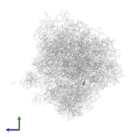 Chlorolissoclimide in PDB entry 5tbw, assembly 2, side view.