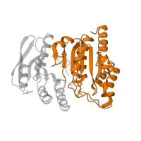 The deposited structure of PDB entry 5tdm contains 1 copy of CATH domain 3.40.50.261 (Rossmann fold) in ATP-citrate synthase. Showing 1 copy in chain B.
