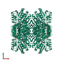 Homo tetrameric assembly 1 of PDB entry 5tei coloured by chemically distinct molecules, front view.