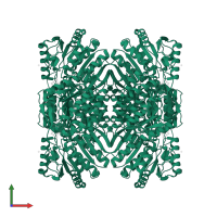 Aldehyde dehydrogenase 1A1 in PDB entry 5tei, assembly 1, front view.