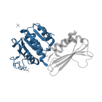 The deposited structure of PDB entry 5tem contains 2 copies of CATH domain 3.40.50.720 (Rossmann fold) in 4-hydroxy-tetrahydrodipicolinate reductase. Showing 1 copy in chain B [auth A].