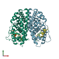 PDB entry 5tml coloured by chain, front view.