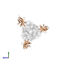 Single-domain antibody F-VHH-4 in PDB entry 5toj, assembly 1, side view.