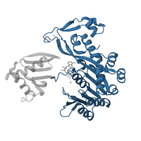 The deposited structure of PDB entry 5tsg contains 3 copies of CATH domain 3.40.50.300 (Rossmann fold) in Bacterial type II secretion system protein E domain-containing protein. Showing 1 copy in chain A [auth B].