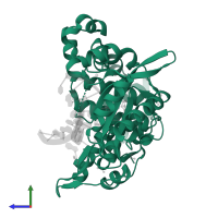 DNA-directed DNA/RNA polymerase mu in PDB entry 5tye, assembly 1, side view.