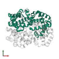 Hemoglobin subunit alpha in PDB entry 5u3i, assembly 1, front view.