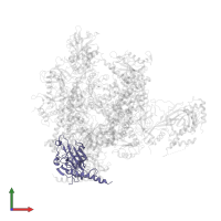 DNA-directed RNA polymerase II subunit RPB3 in PDB entry 5u5q, assembly 1, front view.