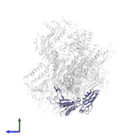 DNA-directed RNA polymerase II subunit RPB3 in PDB entry 5u5q, assembly 1, side view.