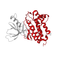 The deposited structure of PDB entry 5uga contains 1 copy of CATH domain 1.10.510.10 (Transferase(Phosphotransferase); domain 1) in Epidermal growth factor receptor. Showing 1 copy in chain A.