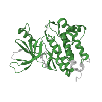 The deposited structure of PDB entry 5uga contains 1 copy of Pfam domain PF07714 (Protein tyrosine and serine/threonine kinase) in Epidermal growth factor receptor. Showing 1 copy in chain A.