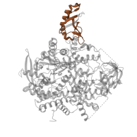 The deposited structure of PDB entry 5uk8 contains 1 copy of Pfam domain PF02192 (PI3-kinase family, p85-binding domain) in Phosphatidylinositol 4,5-bisphosphate 3-kinase catalytic subunit alpha isoform. Showing 1 copy in chain A.