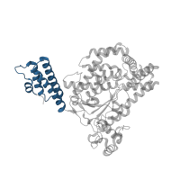 The deposited structure of PDB entry 5uqt contains 2 copies of CATH domain 1.20.58.1190 (Methane Monooxygenase Hydroxylase; Chain G, domain 1) in Glucosyltransferase TcdB. Showing 1 copy in chain A.