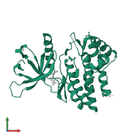 Tyrosine-protein kinase JAK2 in PDB entry 5usy, assembly 2, front view.