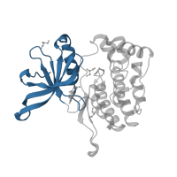 The deposited structure of PDB entry 5ut1 contains 1 copy of CATH domain 3.30.200.20 (Phosphorylase Kinase; domain 1) in Tyrosine-protein kinase JAK2. Showing 1 copy in chain A.