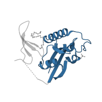 The deposited structure of PDB entry 5uy9 contains 1 copy of CATH domain 3.10.50.40 (Chitinase A; domain 3) in Peptidyl-prolyl cis-trans isomerase NIMA-interacting 1. Showing 1 copy in chain A.