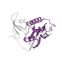 The deposited structure of PDB entry 5uy9 contains 1 copy of Pfam domain PF00639 (PPIC-type PPIASE domain) in Peptidyl-prolyl cis-trans isomerase NIMA-interacting 1. Showing 1 copy in chain A.