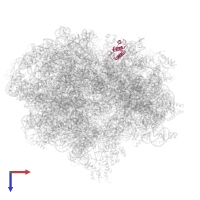 Small ribosomal subunit protein uS15 in PDB entry 5uyq, assembly 1, top view.