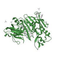 The deposited structure of PDB entry 5v0n contains 3 copies of Pfam domain PF00026 (Eukaryotic aspartyl protease) in Beta-secretase 1. Showing 1 copy in chain C.