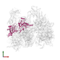 Minichromosome maintenance protein 5 in PDB entry 5v8f, assembly 1, front view.