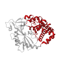 The deposited structure of PDB entry 5vdq contains 2 copies of CATH domain 1.10.1410.40 (Poly(a)-polymerase, middle domain) in Cyclic GMP-AMP synthase. Showing 1 copy in chain A.