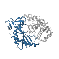 The deposited structure of PDB entry 5vdq contains 2 copies of CATH domain 3.30.460.90 (Beta Polymerase; domain 2) in Cyclic GMP-AMP synthase. Showing 1 copy in chain A.