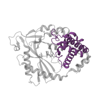 The deposited structure of PDB entry 5vdq contains 2 copies of Pfam domain PF20266 (Mab-21 protein HhH/H2TH-like domain) in Cyclic GMP-AMP synthase. Showing 1 copy in chain A.