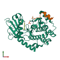 Hetero dimeric assembly 1 of PDB entry 5vi9 coloured by chemically distinct molecules, front view.